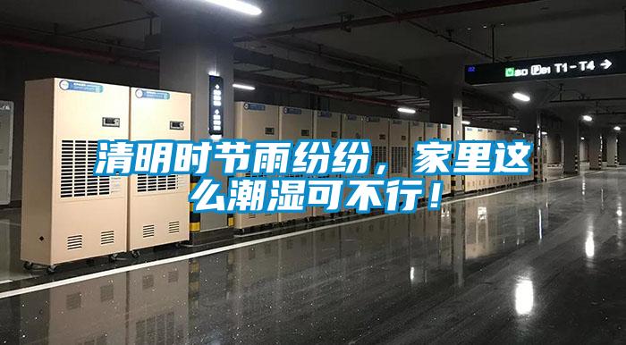 清明時節雨紛紛，家里這么潮濕可不行！