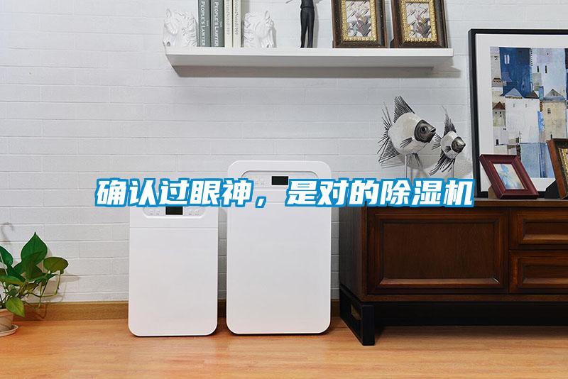 確認(rèn)過眼神，是對(duì)的除濕機(jī)