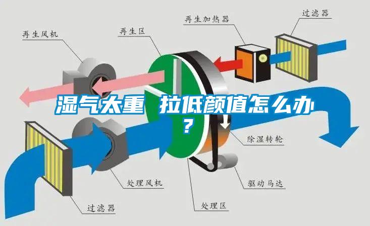 濕氣太重 拉低顏值怎么辦？