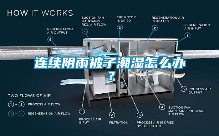 連續陰雨被子潮濕怎么辦？