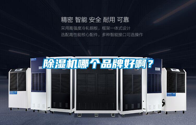 除濕機哪個品牌好啊？