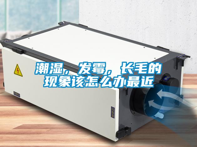 潮濕，發霉，長毛的現象該怎么辦最近