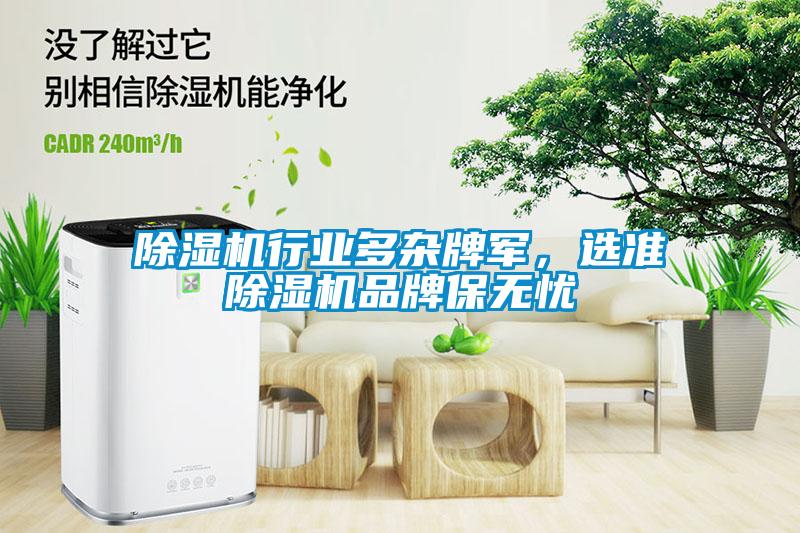 除濕機(jī)行業(yè)多雜牌軍，選準(zhǔn)除濕機(jī)品牌保無憂