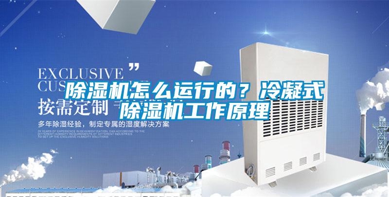 除濕機怎么運行的？冷凝式除濕機工作原理