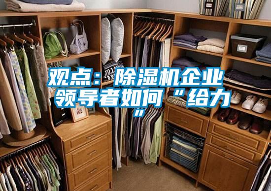 觀點：除濕機企業(yè) 領導者如何“給力”