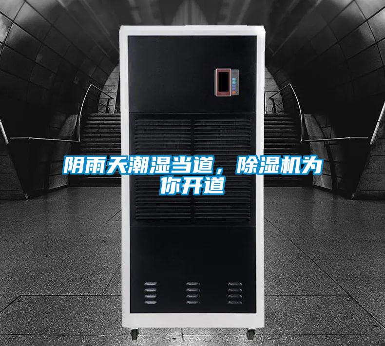 陰雨天潮濕當(dāng)?shù)溃凉駲C(jī)為你開(kāi)道