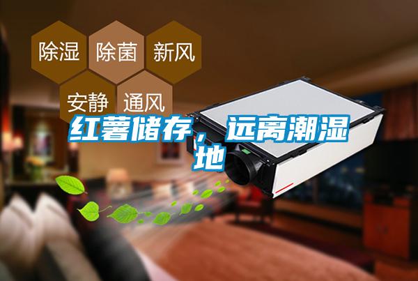 紅薯儲(chǔ)存，遠(yuǎn)離潮濕地