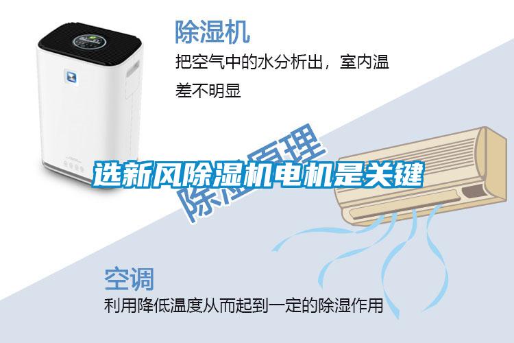 選新風(fēng)除濕機電機是關(guān)鍵