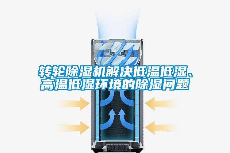 轉輪除濕機解決低溫低濕、高溫低濕環(huán)境的除濕問題