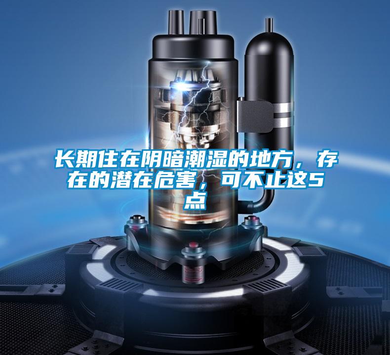 長期住在陰暗潮濕的地方，存在的潛在危害，可不止這5點