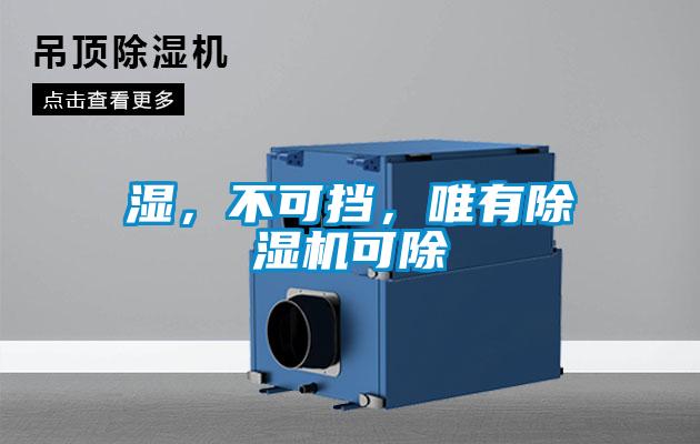 濕，不可擋，唯有除濕機可除