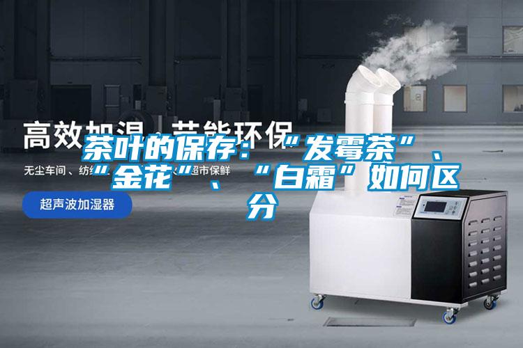 茶葉的保存：“發霉茶”、“金花”、“白霜”如何區分