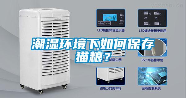 潮濕環境下如何保存貓糧？