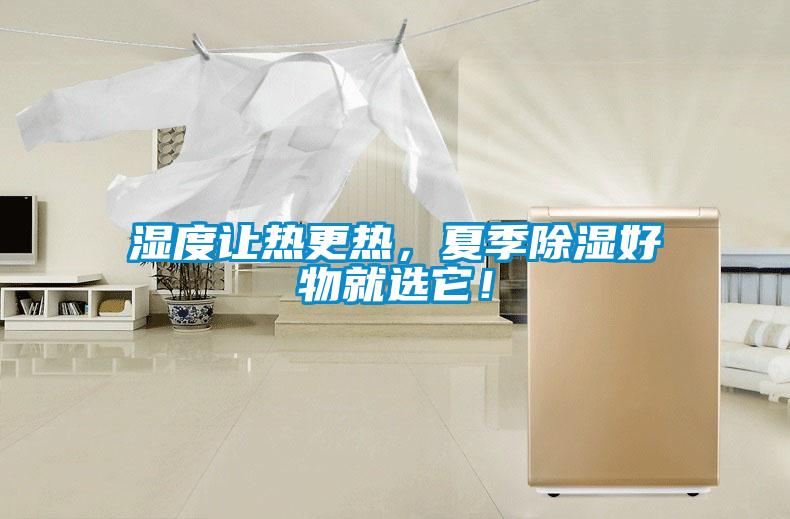 濕度讓熱更熱，夏季除濕好物就選它！