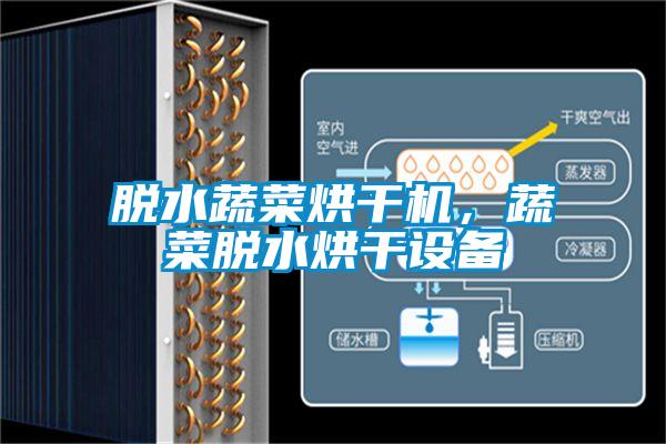 脫水蔬菜烘干機，蔬菜脫水烘干設備