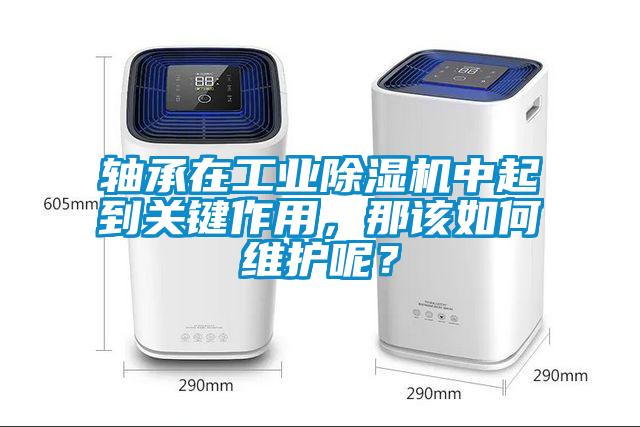 軸承在工業(yè)除濕機(jī)中起到關(guān)鍵作用，那該如何維護(hù)呢？