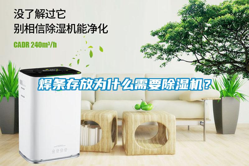 焊條存放為什么需要除濕機？