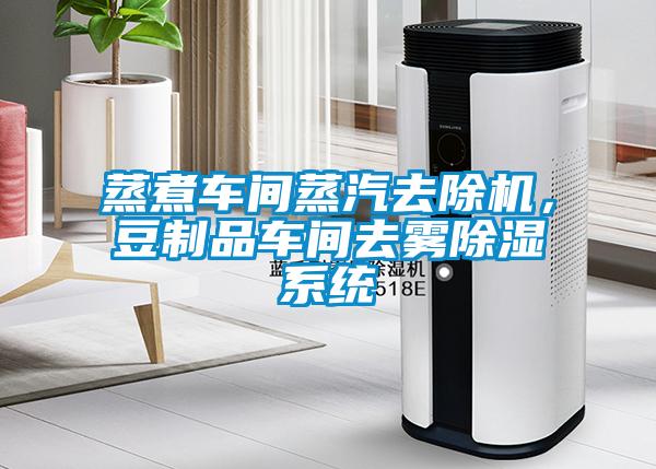 蒸煮車間蒸汽去除機(jī)，豆制品車間去霧除濕系統(tǒng)
