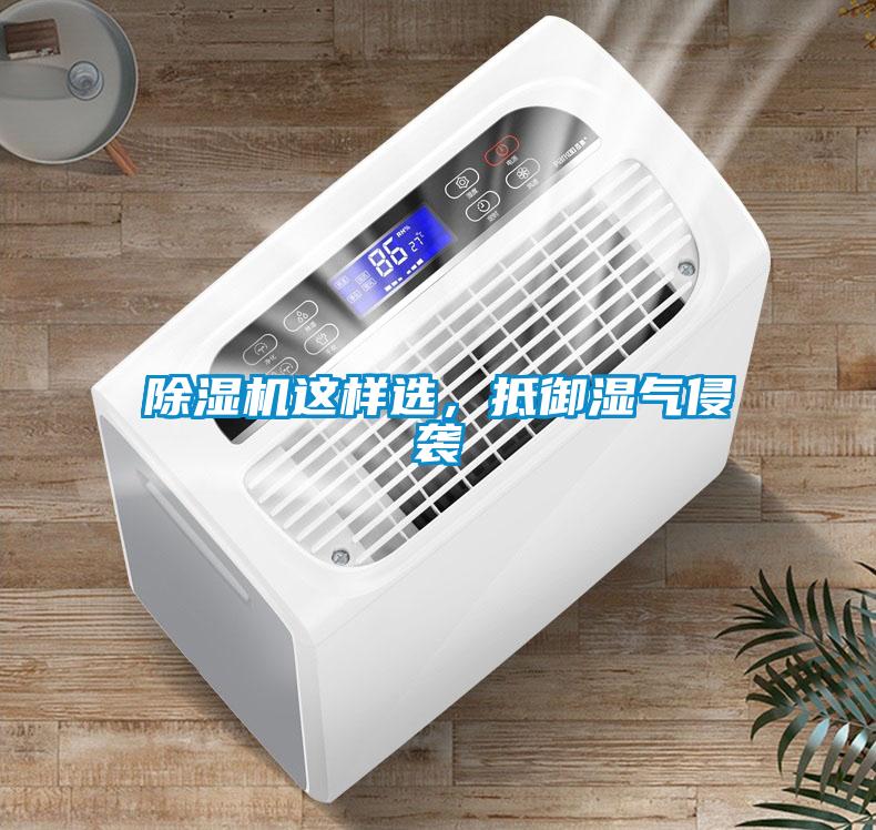 除濕機這樣選，抵御濕氣侵襲