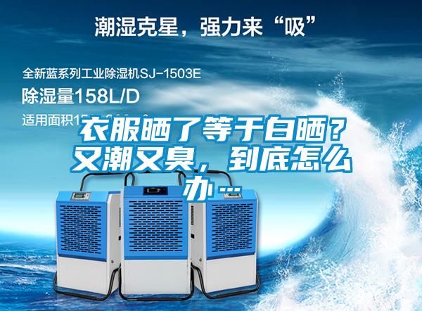 衣服曬了等于白曬？又潮又臭，到底怎么辦…