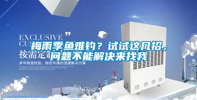 梅雨季魚難釣？試試這幾招，問題不能解決來找我
