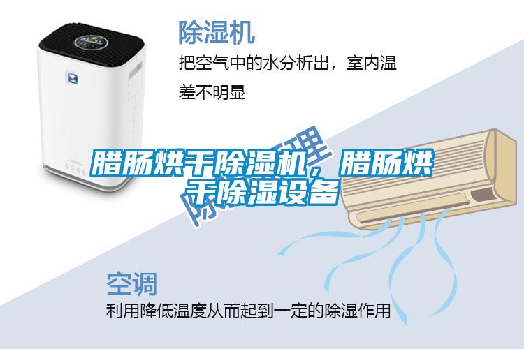 臘腸烘干除濕機，臘腸烘干除濕設備