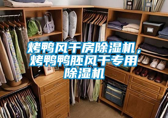 烤鴨風(fēng)干房除濕機(jī)，烤鴨鴨胚風(fēng)干專(zhuān)用除濕機(jī)