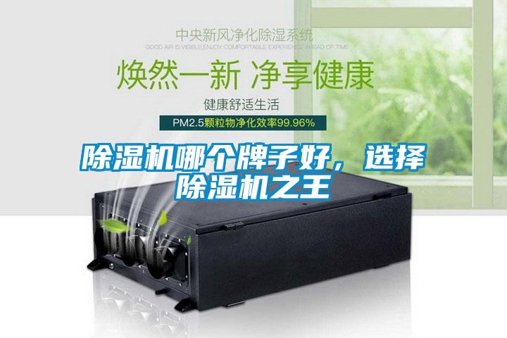 除濕機哪個牌子好，選擇除濕機之王