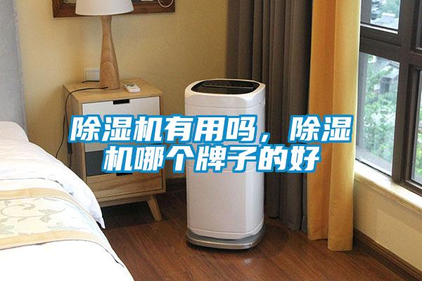 除濕機有用嗎，除濕機哪個牌子的好
