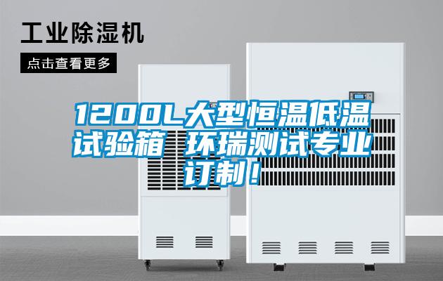 1200L大型恒溫低溫試驗(yàn)箱 環(huán)瑞測(cè)試專業(yè)訂制！
