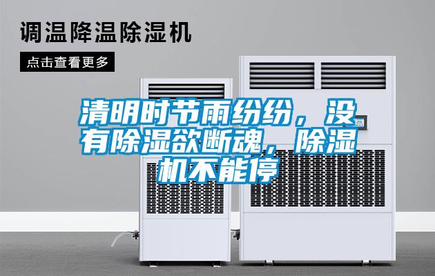 清明時節雨紛紛，沒有除濕欲斷魂，除濕機不能停