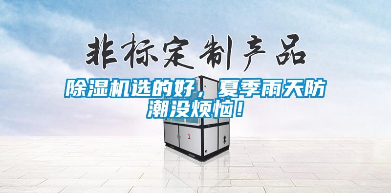 除濕機選的好，夏季雨天防潮沒煩惱！