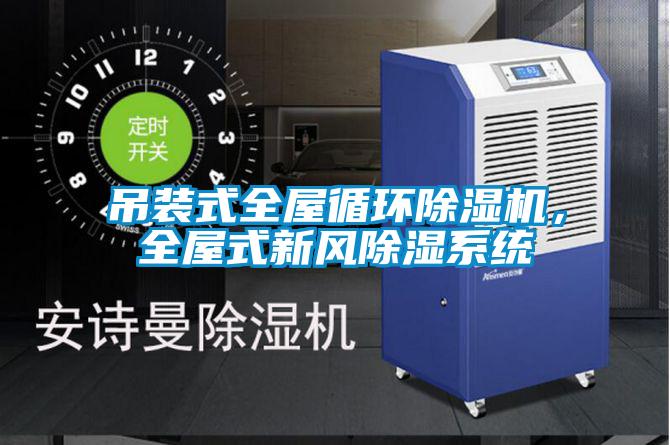 吊裝式全屋循環(huán)除濕機(jī)，全屋式新風(fēng)除濕系統(tǒng)