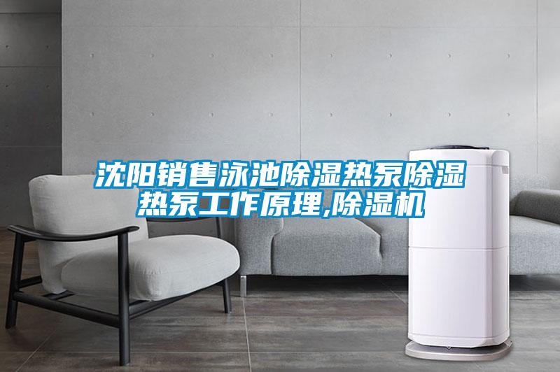 沈陽(yáng)銷售泳池除濕熱泵除濕熱泵工作原理,除濕機(jī)