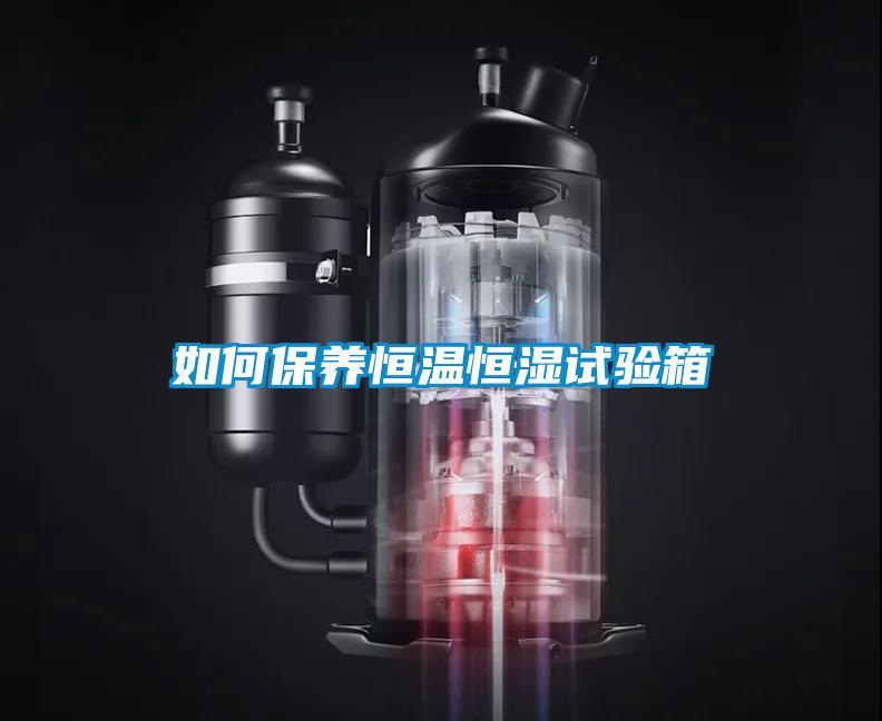 如何保養(yǎng)恒溫恒濕試驗(yàn)箱