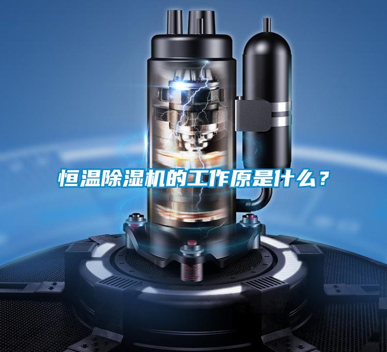 恒溫除濕機的工作原是什么？