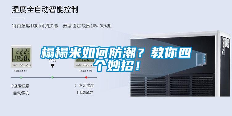 榻榻米如何防潮？教你四個妙招！
