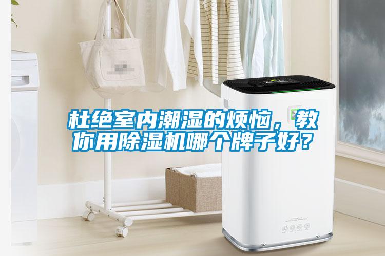 杜絕室內潮濕的煩惱，教你用除濕機哪個牌子好？