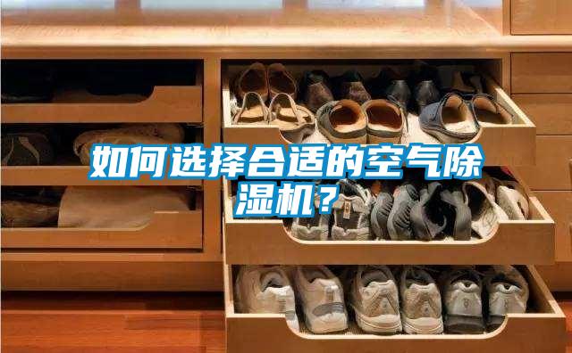如何選擇合適的空氣除濕機？