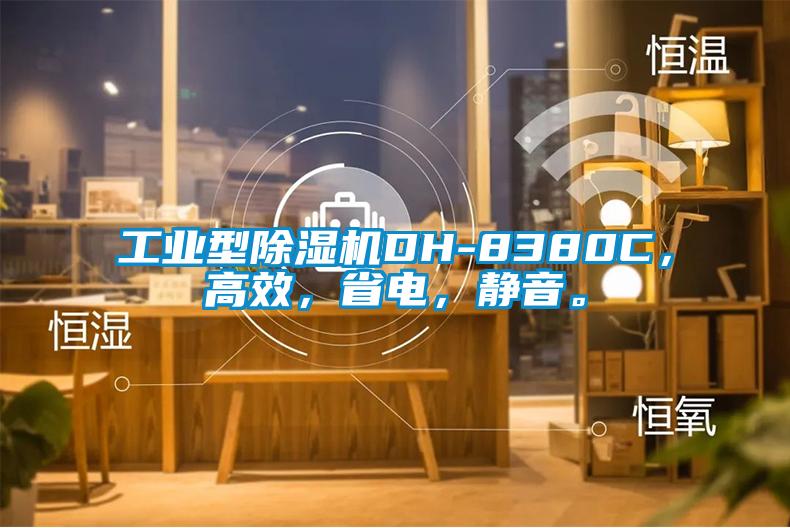 工業(yè)型除濕機DH-8380C，高效，省電，靜音。