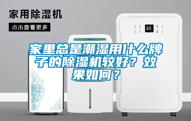 家里總是潮濕用什么牌子的除濕機較好？效果如何？