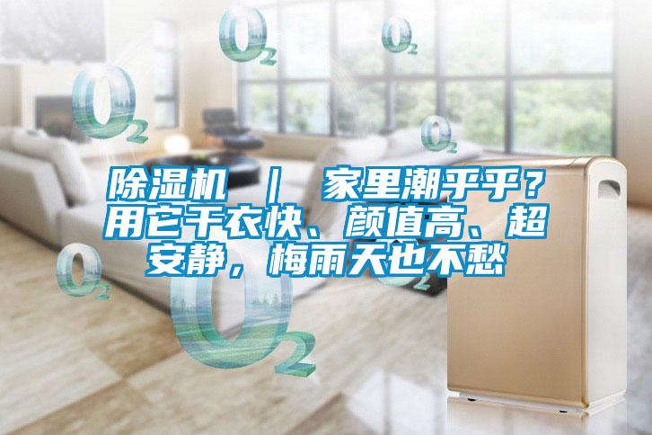 除濕機(jī) ｜ 家里潮乎乎？用它干衣快、顏值高、超安靜，梅雨天也不愁