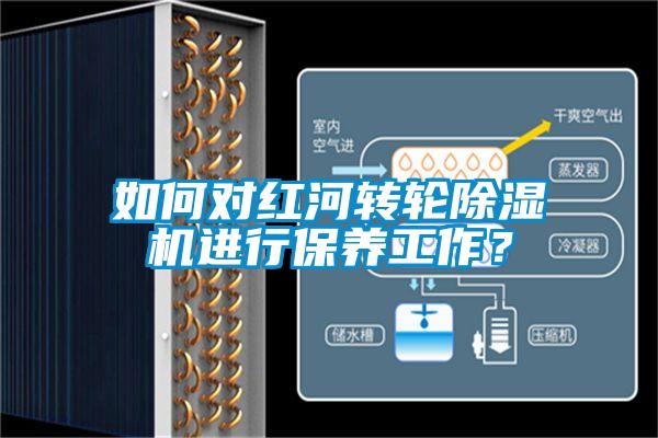 如何對紅河轉輪除濕機進行保養工作？