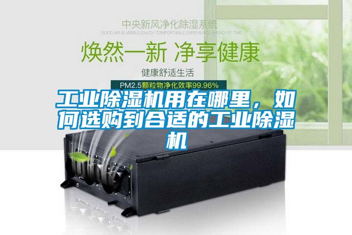 工業除濕機用在哪里，如何選購到合適的工業除濕機