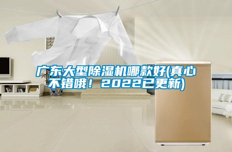 廣東大型除濕機(jī)哪款好(真心不錯哦！2022已更新)