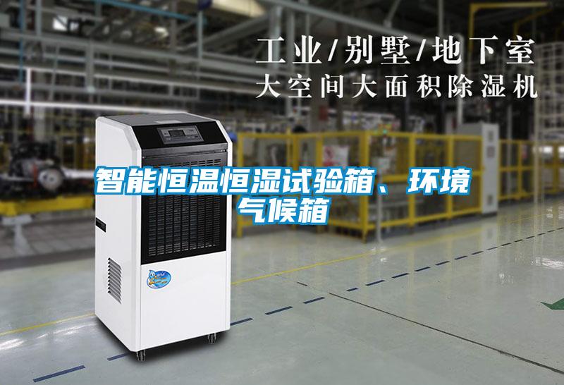 智能恒溫恒濕試驗箱、環境氣候箱