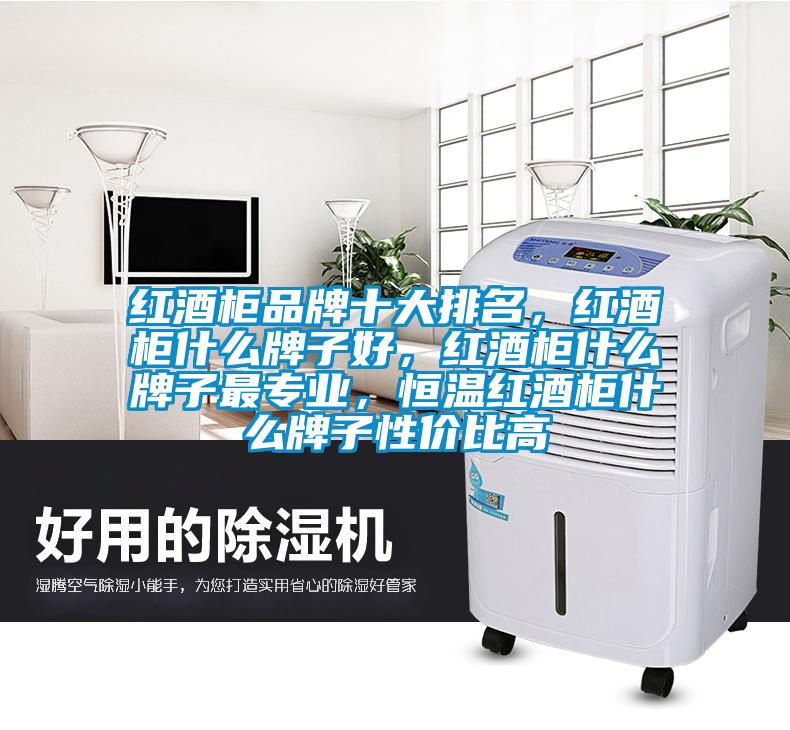 紅酒柜品牌十大排名，紅酒柜什么牌子好，紅酒柜什么牌子最專業，恒溫紅酒柜什么牌子性價比高