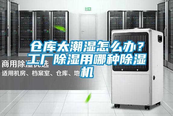 倉庫太潮濕怎么辦？工廠除濕用哪種除濕機