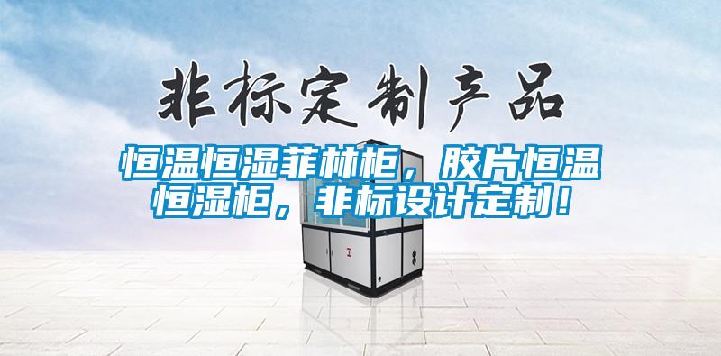 恒溫恒濕菲林柜，膠片恒溫恒濕柜，非標設(shè)計定制！