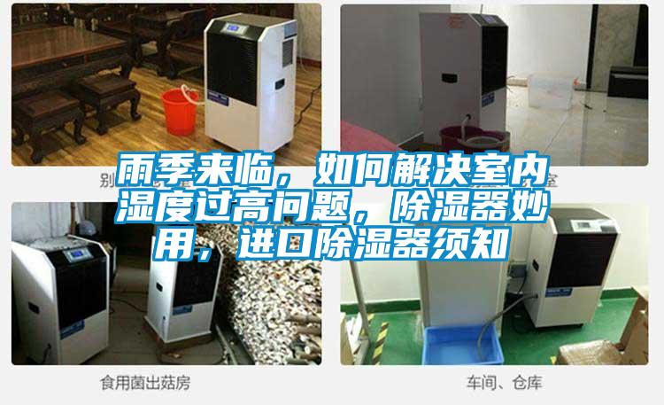 雨季來臨，如何解決室內濕度過高問題，除濕器妙用，進口除濕器須知